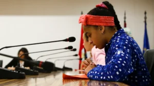 Sesión 7: Presentaciones de los planes de acción y despedida